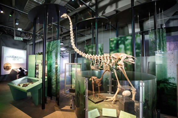 AJP-NPmuseum8.jpg